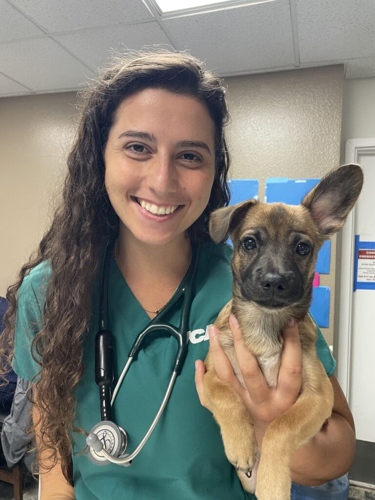 Smiling veterinarian holding a cute puppy during a checkup. Compassionate veterinary care in a friendly, professional clinic setting.